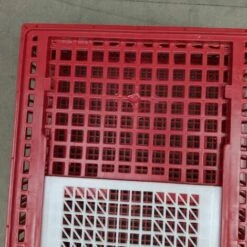 POULAILLER DIRECT Cage De Transport Poules Et Volailles 96x57x27cm 2 Portes Rouge Et Blanche - Rouge -Polire Soldes Boutique 35331811 5
