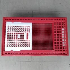 CHEMIN DES POULAILLERS Cage Transport Poules Et Volailles 77x57x27cm 2 Portes Rouge Et Blanche 8 CHEMIN DES POULAILLERS Cage Transport Poules Et Volailles 77x57x27cm 2 Portes Rouge Et Blanche -Polire Soldes Boutique 35331813 4