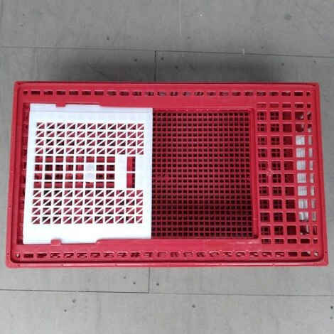 CHEMIN DES POULAILLERS Cage Transport Poules Et Volailles 77x57x27cm 2 Portes Rouge Et Blanche 4 CHEMIN DES POULAILLERS Cage Transport Poules Et Volailles 77x57x27cm 2 Portes Rouge Et Blanche – Image 4