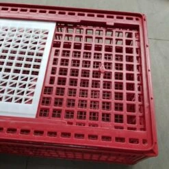 CHEMIN DES POULAILLERS Cage Transport Poules Et Volailles 77x57x27cm 2 Portes Rouge Et Blanche 9 CHEMIN DES POULAILLERS Cage Transport Poules Et Volailles 77x57x27cm 2 Portes Rouge Et Blanche -Polire Soldes Boutique 35331813 5