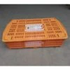 POULAILLER DIRECT Cage De Transport Petite Volaille 67x45x15cm 2 Portes Orange Et Blanche - Orange