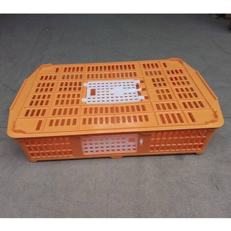 POULAILLER DIRECT Cage De Transport Petite Volaille 67x45x15cm 2 Portes Orange Et Blanche - Orange 1 POULAILLER DIRECT Cage De Transport Petite Volaille 67x45x15cm 2 Portes Orange Et Blanche - Orange