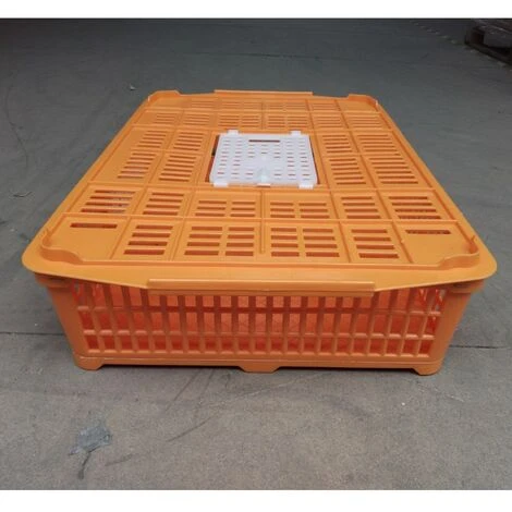 POULAILLER DIRECT Cage De Transport Petite Volaille 67x45x15cm 2 Portes Orange Et Blanche - Orange 2 POULAILLER DIRECT Cage De Transport Petite Volaille 67x45x15cm 2 Portes Orange Et Blanche - Orange – Image 2