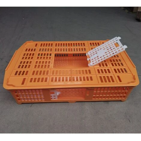 POULAILLER DIRECT Cage De Transport Petite Volaille 67x45x15cm 2 Portes Orange Et Blanche - Orange 3 POULAILLER DIRECT Cage De Transport Petite Volaille 67x45x15cm 2 Portes Orange Et Blanche - Orange – Image 3