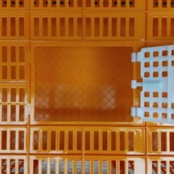POULAILLER DIRECT Cage De Transport Petite Volaille 67x45x15cm 2 Portes Orange Et Blanche - Orange 8 POULAILLER DIRECT Cage De Transport Petite Volaille 67x45x15cm 2 Portes Orange Et Blanche - Orange -Polire Soldes Boutique 35363182 4
