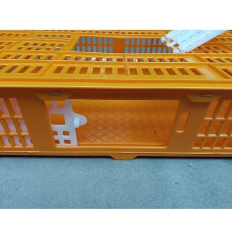 POULAILLER DIRECT Cage De Transport Petite Volaille 67x45x15cm 2 Portes Orange Et Blanche - Orange 5 POULAILLER DIRECT Cage De Transport Petite Volaille 67x45x15cm 2 Portes Orange Et Blanche - Orange – Image 5