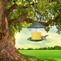 SUNFLOWER Mangeoires Pour Oiseaux Sauvages, Mangeoire à Oiseaux Suspendue, Mangeoire à Oiseaux Suspendue En Plastique Pour Balcon Extérieur Transparent (Vert) -Polire Soldes Boutique 36773405 3