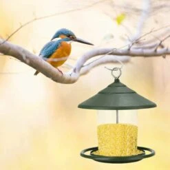 SUNFLOWER Mangeoires Pour Oiseaux Sauvages, Mangeoire à Oiseaux Suspendue, Mangeoire à Oiseaux Suspendue En Plastique Pour Balcon Extérieur Transparent (Vert) -Polire Soldes Boutique 36773405 4