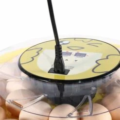 BETTER MAISON Tourneur Automatique D'oeufs D'incubateur Numérique De 30 Oeufs Pour Les Canards Et Poulet - Jaune -Polire Soldes Boutique 37104592 3