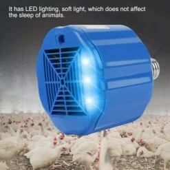 BETTERLIFE Volaille Chaleur Lampe, E27 Lampe Chauffante Pour Animaux De Compagnie, Pour La Chaleur De La Volaille Garder, Lumière Pour Réchauffer Les Poulets Porcelet Lézards Tortue Coop Aquarium Serpent -Polire Soldes Boutique 37833840 3
