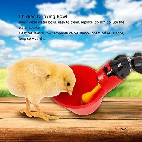 BETTERLIFE 5 Pcs En Abreuvoir Poules, Tasses Automatiques Automatique Chicken Acier Inoxydable Eau Côté Horizontal Mamelons Poulet Volaille Lapin Buveur Abreuvoir Nipple (Bol à Eau à Vis Fixe) 5 BETTERLIFE 5 Pcs En Abreuvoir Poules, Tasses Automatiques Automatique Chicken Acier Inoxydable Eau Côté Horizontal Mamelons Poulet Volaille Lapin Buveur Abreuvoir Nipple (Bol à Eau à Vis Fixe) – Image 5