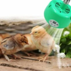 BETTERLIFE BETTE Animaux De Compagnie Lampe Chauffante Poulailler Chauffage Température Réglable Couveuse Lampes Pour Poulet Lézard Tortue Aquarium Serpent Vert 8 BETTERLIFE BETTE Animaux De Compagnie Lampe Chauffante Poulailler Chauffage Température Réglable Couveuse Lampes Pour Poulet Lézard Tortue Aquarium Serpent Vert -Polire Soldes Boutique 41557057 4