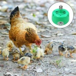 BETTERLIFE BETTE Animaux De Compagnie Lampe Chauffante Poulailler Chauffage Température Réglable Couveuse Lampes Pour Poulet Lézard Tortue Aquarium Serpent Vert 9 BETTERLIFE BETTE Animaux De Compagnie Lampe Chauffante Poulailler Chauffage Température Réglable Couveuse Lampes Pour Poulet Lézard Tortue Aquarium Serpent Vert -Polire Soldes Boutique 41557057 5