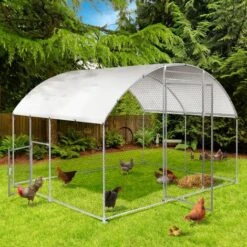 IDMARKET Enclos Poulailler Dôme 7,5 M² Parc Grillagé 3x2,5 M Avec Porte Latérale - Naturel 9 IDMARKET Enclos Poulailler Dôme 7,5 M² Parc Grillagé 3x2,5 M Avec Porte Latérale - Naturel -Polire Soldes Boutique 41828827 5