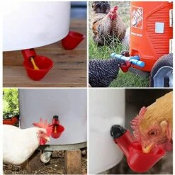 GUAZHUNIFR Abreuvoir De Poulet Abreuvoir De Volaille Abreuvoir De Poulet Abreuvoir Automatique 6 Article Accessoire Poulailler Guazhuni（rouge） -Polire Soldes Boutique 42580243 4