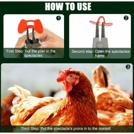 GUAZHUNIFR Lunettes De Poulet Lunettes Anti-picage Lunettes De Poulet En Plastique100 Pieces Guazhuni(rouge) 2 GUAZHUNIFR Lunettes De Poulet Lunettes Anti-picage Lunettes De Poulet En Plastique100 Pieces Guazhuni(rouge) – Image 2