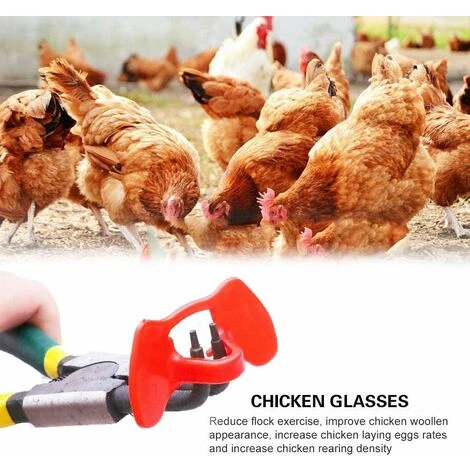 GUAZHUNIFR Lunettes De Poulet Lunettes Anti-picage Lunettes De Poulet En Plastique100 Pieces Guazhuni(rouge) 3 GUAZHUNIFR Lunettes De Poulet Lunettes Anti-picage Lunettes De Poulet En Plastique100 Pieces Guazhuni(rouge) – Image 3