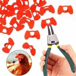 GUAZHUNIFR Lunettes De Poulet Lunettes Anti-picage Lunettes De Poulet En Plastique100 Pieces Guazhuni(rouge) 9 GUAZHUNIFR Lunettes De Poulet Lunettes Anti-picage Lunettes De Poulet En Plastique100 Pieces Guazhuni(rouge) -Polire Soldes Boutique 42580261 5