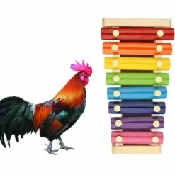 Accessoires De Poulet Jouet Xylophone 1 Pièces Fontainebleau （Multicolore） -Polire Soldes Boutique 42717525 3