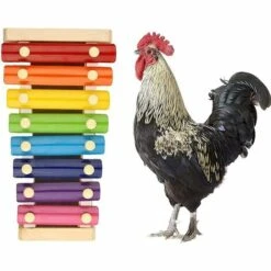 Accessoires De Poulet Jouet Xylophone 1 Pièces Fontainebleau （Multicolore） -Polire Soldes Boutique 42717525 4