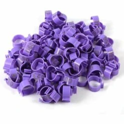 BARES 100 Pièces/Sac 16 MM 001-100 Poulets De Volaille En Plastique Numérotés Canards Bagues De Jambe D'oie(Violet)