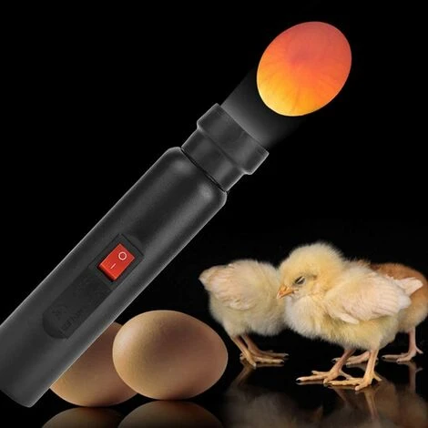 TANABATA Testeur D'oeufs LED Haute Intensité Pour Surveiller L'incubateur D'oeufs Couteurs De Poulet 4 TANABATA Testeur D'oeufs LED Haute Intensité Pour Surveiller L'incubateur D'oeufs Couteurs De Poulet – Image 4