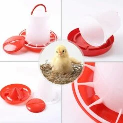 TANABATA Lot De 2 Abreuvoirs Mangeoire 3 Kg Rouge Et Blanc 8 TANABATA Lot De 2 Abreuvoirs Mangeoire 3 Kg Rouge Et Blanc -Polire Soldes Boutique 44322377 4