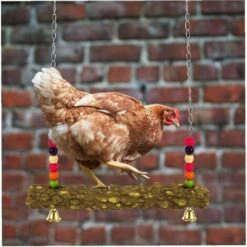 Animal Balançoire En Bois, Jouet Stand De Poulet, Balançoire Jouets De Poulet Poulailler Accessoires Perruche Balançoire Perch Jouets Pour Oiseaux Grand Perroquet Ara Poules 45*31cm Fontainebleau -Polire Soldes Boutique 45292825 5