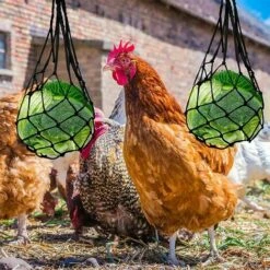 Distributeurs De Nourriture Pour Foin, Nylon Poulet Fruits Et Légumes Sac En Filet Râtelier à Foin, Lapin, Poulailler Réutilisable 57cm Fontainebleau 2Pcs Noir 9 Distributeurs De Nourriture Pour Foin, Nylon Poulet Fruits Et Légumes Sac En Filet Râtelier à Foin, Lapin, Poulailler Réutilisable 57cm Fontainebleau 2Pcs Noir -Polire Soldes Boutique 45293292 5