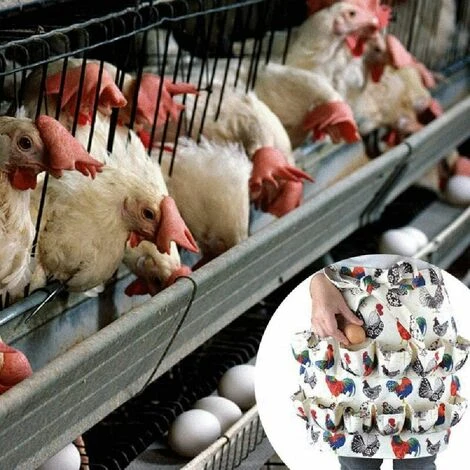 BRIDAY Tablier De Collecte D'œufs, 12 Poches Pour Poule Avec Imprimé Coq De Poule Et œufs En Toile, Support Pour Poules 3 BRIDAY Tablier De Collecte D'œufs, 12 Poches Pour Poule Avec Imprimé Coq De Poule Et œufs En Toile, Support Pour Poules – Image 3