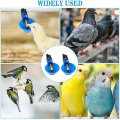 VERSAILLESFR Volaille Tasse à Boire Automatique En Plastique Distributeur D'Eau De Poulet，Abreuvoir Pour Poules Poulailler Volaille Oiseau Coupes Buveur -Versailles -Polire Soldes Boutique 45968180 4