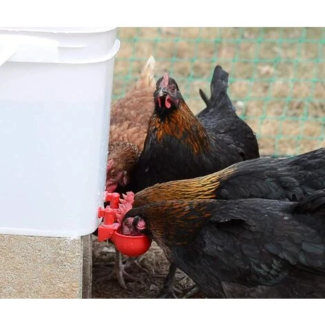 VERSAILLESFR Lot De 2 Distributeurs D'eau Automatiques Pour Volaille 3 VERSAILLESFR Lot De 2 Distributeurs D'eau Automatiques Pour Volaille – Image 3