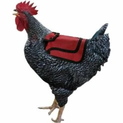 Kueatily Tablier Protection Dorsale Volaille 5 Kueatily Tablier Protection Dorsale Volaille -Polire Soldes Boutique 46714458 3