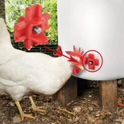 Buveurs D'Eau De Poulet En Plastique Et Acier Inoxydable 304 Abreuvoir Automatique Pour Tétine De Poulet En Rouge 32,5 X 34mm Distributeur Abreuvoir Équipement Pour Poulet Oie OiseauTriomphe 10 Pièces -Polire Soldes Boutique 47298369 3
