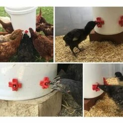 Buveurs D'Eau De Poulet En Plastique Et Acier Inoxydable 304 Abreuvoir Automatique Pour Tétine De Poulet En Rouge 32,5 X 34mm Distributeur Abreuvoir Équipement Pour Poulet Oie OiseauTriomphe 10 Pièces -Polire Soldes Boutique 47298369 4