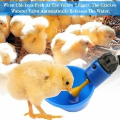 Volaille Tasse à Boire Automatique En Plastique 12 Pcs Distributeur D'Eau De Poulet,Betterlife Abreuvoir Pour Poules Poulailler Volaille Oiseau Coupes Buveur De Poulet Pour Boire De L'eau(Bleu) 7 Volaille Tasse à Boire Automatique En Plastique 12 Pcs Distributeur D'Eau De Poulet,Betterlife Abreuvoir Pour Poules Poulailler Volaille Oiseau Coupes Buveur De Poulet Pour Boire De L'eau(Bleu) -Polire Soldes Boutique 48448716 3