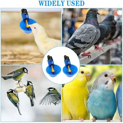 Volaille Tasse à Boire Automatique En Plastique 12 Pcs Distributeur D'Eau De Poulet,Betterlife Abreuvoir Pour Poules Poulailler Volaille Oiseau Coupes Buveur De Poulet Pour Boire De L'eau(Bleu) 5 Volaille Tasse à Boire Automatique En Plastique 12 Pcs Distributeur D'Eau De Poulet,Betterlife Abreuvoir Pour Poules Poulailler Volaille Oiseau Coupes Buveur De Poulet Pour Boire De L'eau(Bleu) – Image 5