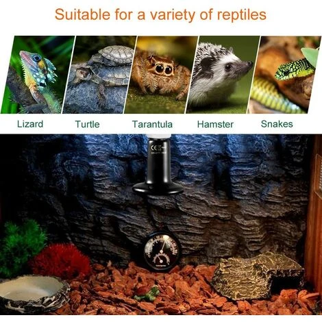 Betterlife E27 100W Émetteur Radiateur Animaux Ampoule Infrarouge Chauffage En Céramique,Lampe De Reptile Pour Amphibiens, Serpent, Oiseaux,Tortue, Chat, Chien(1 Pcs) 5 Betterlife E27 100W Émetteur Radiateur Animaux Ampoule Infrarouge Chauffage En Céramique,Lampe De Reptile Pour Amphibiens, Serpent, Oiseaux,Tortue, Chat, Chien(1 Pcs) – Image 5