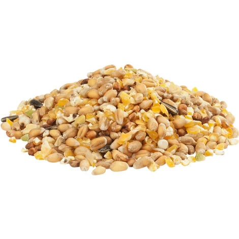 POULAILLER DIRECT Mélange Pour Poule Pondeuse Country's Best Gra-mix Mélange Pour Poules D'ardennes 20kg - Versele Laga 2 POULAILLER DIRECT Mélange Pour Poule Pondeuse Country's Best Gra-mix Mélange Pour Poules D'ardennes 20kg - Versele Laga – Image 2