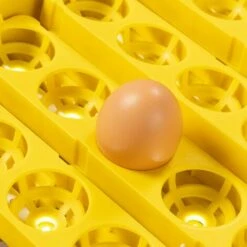 IDMARKET Couveuse PRO Automatique 56 Oeufs éclairés Incubateur Autonome Avec LED Mire Oeufs -Polire Soldes Boutique 50943099 5