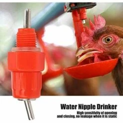 REGALI 20pcs Tetine Abreuvoir Poules Tetine Automatique Pour Poule Volaille Poulet Canard Distributeur D'eau Le Style Vis à Vis élevage Alimentation Du Bétail Abreuver équipement Rouge -Polire Soldes Boutique 54077612 3
