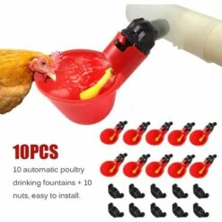 REGALOS 10 Coupes Automatiques Dabreuvoir De Poulet,mangeoire Dabreuvoir Automatique Doiseau De Poule De Poulet-équipement Dalimentation Dabreuvoir De Volaille Pour La Poule De Poulet Doiseau -Polire Soldes Boutique 54079121 3