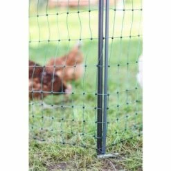 POULAILLER DIRECT Piquet Support Pour Filet Poule En Acier Galvanisé Avec Gaine Plastique 120cm - Kerbl 8 POULAILLER DIRECT Piquet Support Pour Filet Poule En Acier Galvanisé Avec Gaine Plastique 120cm - Kerbl -Polire Soldes Boutique 54231148 4