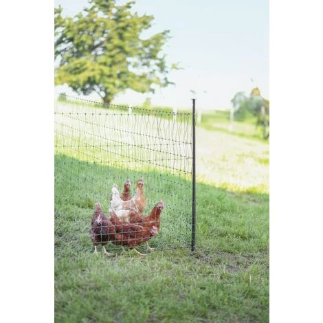 POULAILLER DIRECT Piquet Support Pour Filet Poule En Acier Galvanisé Avec Gaine Plastique 120cm - Kerbl 5 POULAILLER DIRECT Piquet Support Pour Filet Poule En Acier Galvanisé Avec Gaine Plastique 120cm - Kerbl – Image 5