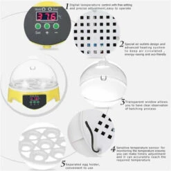 Mini Incubateur D'Oeufs En 15.5x 15.5 X15cm FUIENKO 6 Mini Incubateur D'Oeufs En 15.5x 15.5 X15cm FUIENKO -Polire Soldes Boutique 54329701 3