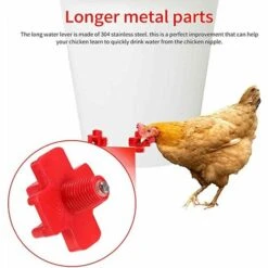 ILOVEMILAN à Eau De Volaille, Abreuvoir Automatique Pour Tétine De Poulet Avec Montage Latéral Horizontal, Abreuvoir Pour Poulets Deau, Lot De 12 -Polire Soldes Boutique 54413839 4