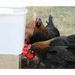 TINOR Lot De 2 Distributeurs D'eau Automatiques Pour Volaille -Polire Soldes Boutique 54847750 3