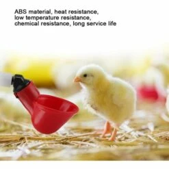 TINOR 5 Pièces Tasses à Boire De L'eau De Volaille Mangeoire à Oiseaux Abreuvoir Automatique En Plastique Pour Le Bétail Poulet Poule Poulailler Poulailler Arc D'alimentation Poulet Buveur Tasses(20mm,1/2") 9 TINOR 5 Pièces Tasses à Boire De L'eau De Volaille Mangeoire à Oiseaux Abreuvoir Automatique En Plastique Pour Le Bétail Poulet Poule Poulailler Poulailler Arc D'alimentation Poulet Buveur Tasses(20mm,1/2") -Polire Soldes Boutique 54847756 5