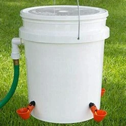 TINOR Distributeurs D'eau Automatique Pour Poulet Canard Volaille - Automatique De L'eau Potable Tasses Bird Coop Feed Volaille Poulet Volailles Abreuvoir D'eau Potable Tasses (12 Pcs) 8 TINOR Distributeurs D'eau Automatique Pour Poulet Canard Volaille - Automatique De L'eau Potable Tasses Bird Coop Feed Volaille Poulet Volailles Abreuvoir D'eau Potable Tasses (12 Pcs) -Polire Soldes Boutique 54847763 4