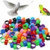 100 Pcs Bague Pour Pied D’Oiseaux Anneaux Pour Pied D'oiseau Jambe D'Anneau D'oiseau Anneaux De Pied Pour Perroquet, Pour Identification Oiseaux Pigeon Poulet Canard Volaille(Multicolor)，Starlight